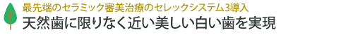 天然歯に限りなく近い美しい白い歯を実現